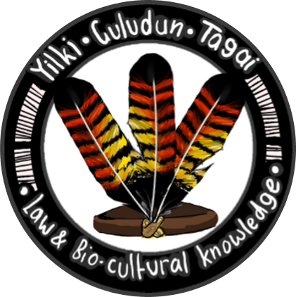 Yilki Guludun Tagai
